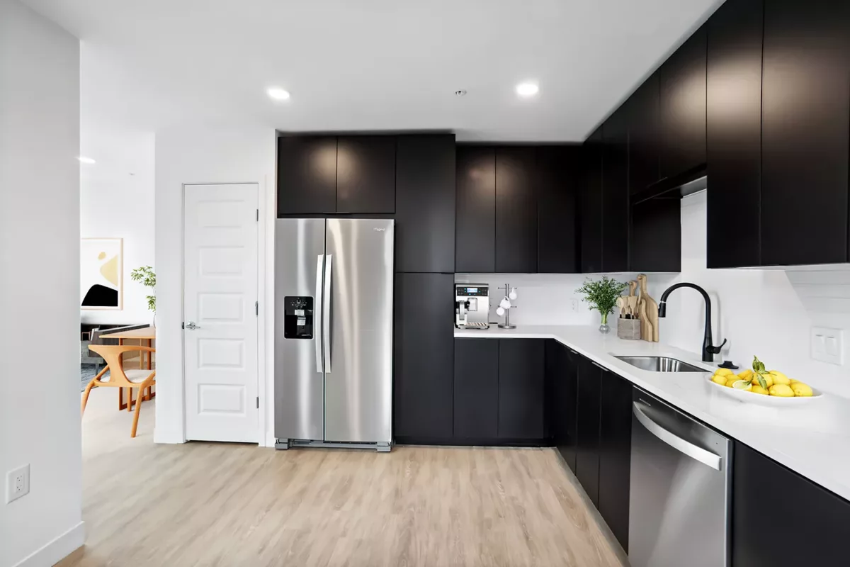 Sleek kitchen with black cabinets, stainless steel appliances, and a light wood floor.